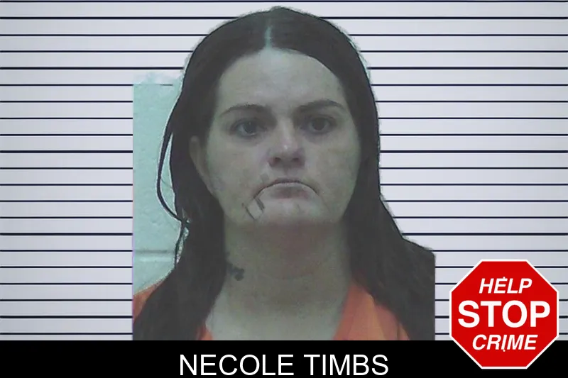 Necole Timbs mugshot – Worth County , Georgia Necole Timbs mugshot