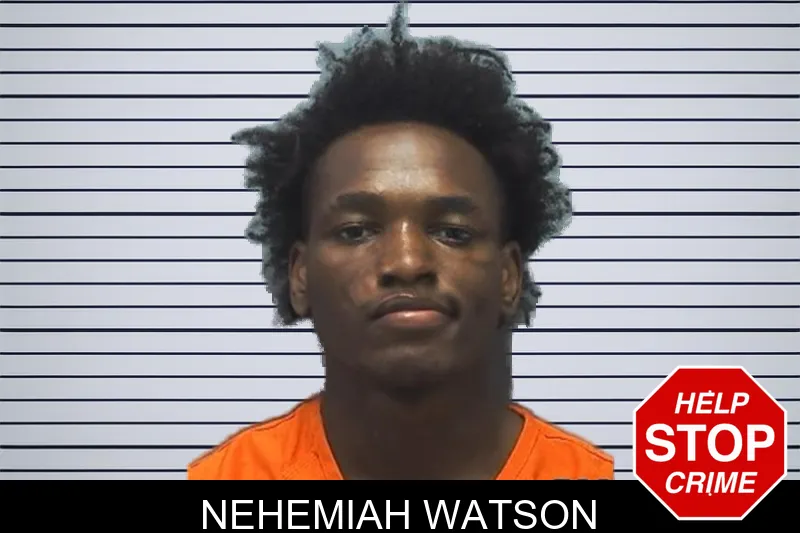 Nehemiah Watson mugshot