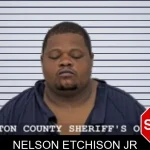 Nelson Etchison Jr mugshot – Walton County , Georgia Nelson Etchison Jr mugshot