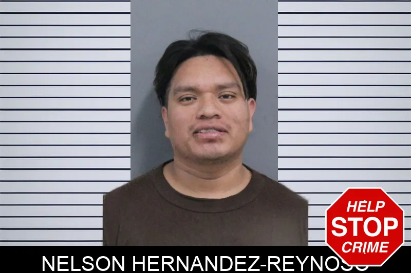 Nelson Hernandez-Reynoso mugshot