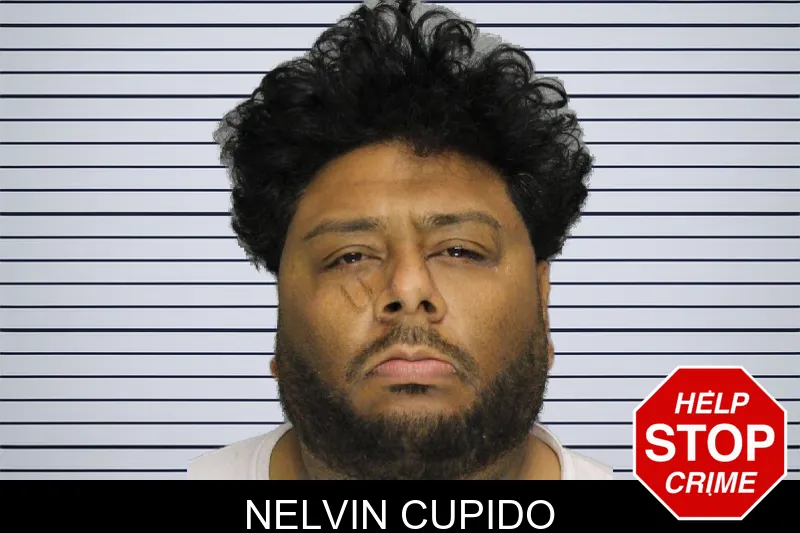 Nelvin Cupido mugshot – Cobb County , Georgia Nelvin Cupido mugshot