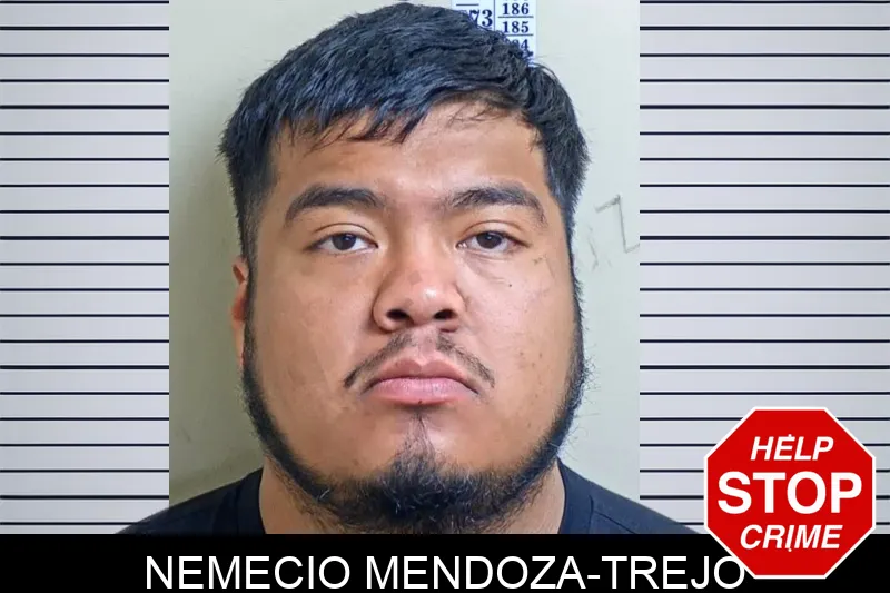 Nemecio Mendoza-Trejo mugshot – Gwinnett County , Georgia Nemecio Mendoza-Trejo mugshot