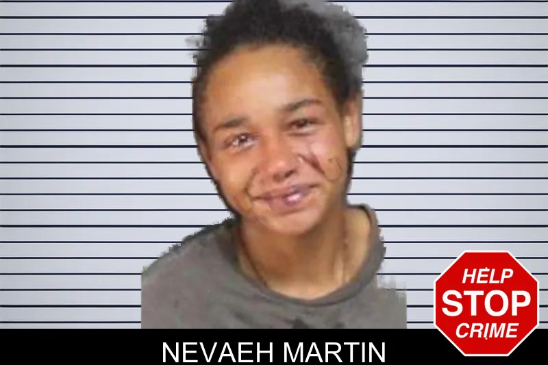 Nevaeh Martin mugshot – Bacon County , Georgia Nevaeh Martin mugshot