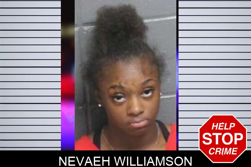 Nevaeh Williamson mugshot – Bacon County , Georgia Nevaeh Williamson mugshot