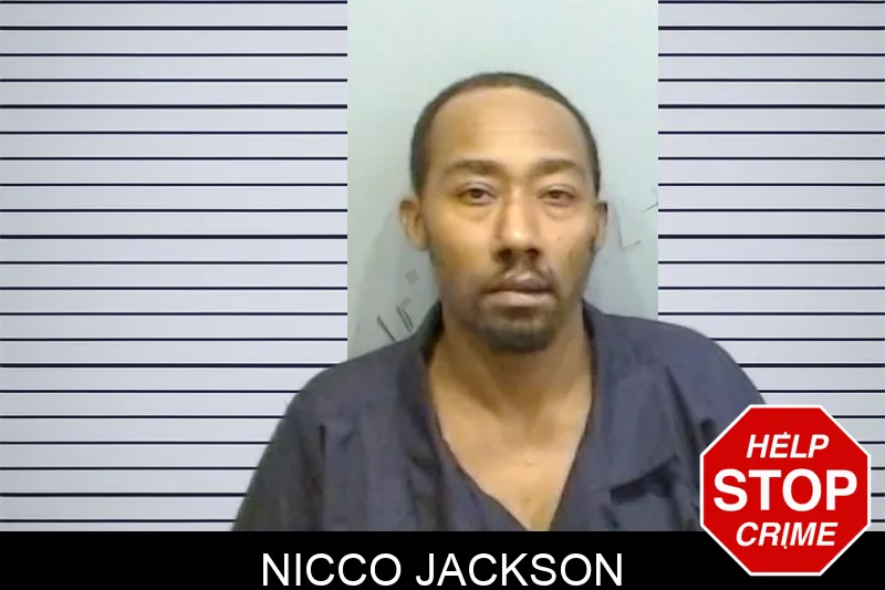 Nicco Jackson mugshot – Fulton County , Georgia Nicco Jackson mugshot