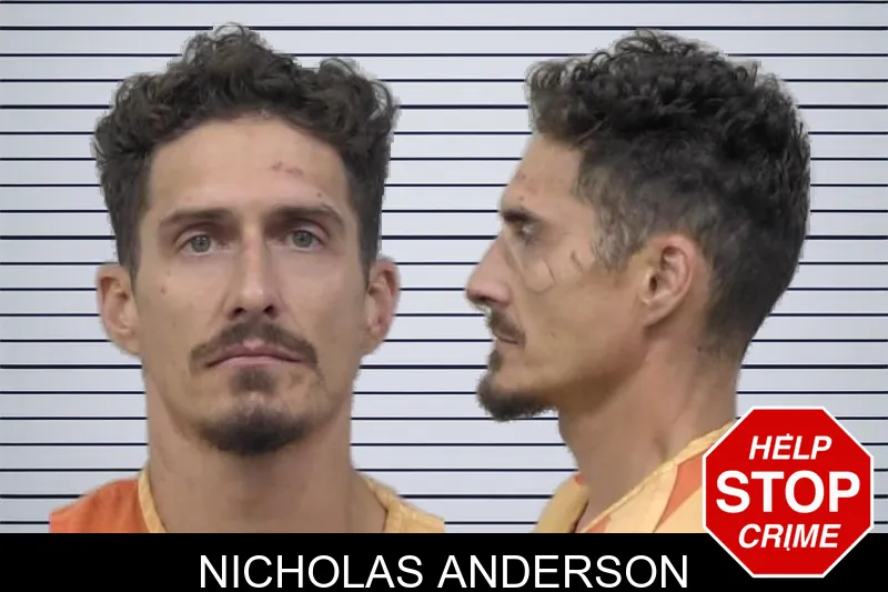 Nicholas Anderson mugshot
