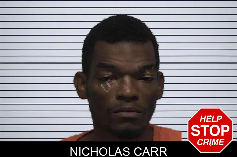Nicholas Carr mugshot