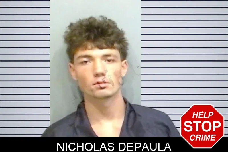 Nicholas Depaula mugshot – Fulton County , Georgia Nicholas Depaula mugshot