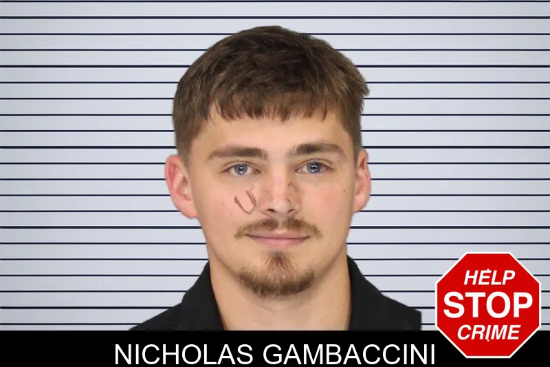 Nicholas Gambaccini mugshot