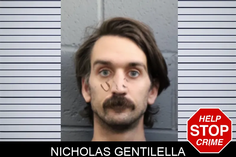 Nicholas Gentilella mugshot – Forsyth County , Georgia Nicholas Gentilella mugshot