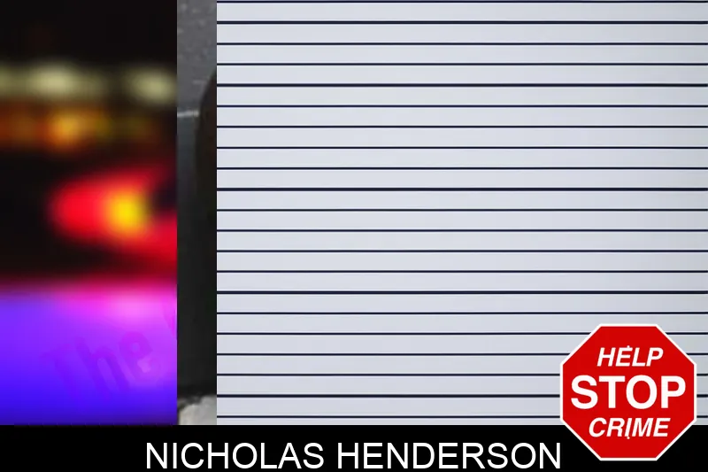 Nicholas Henderson mugshot – Bacon County , Georgia Nicholas Henderson mugshot