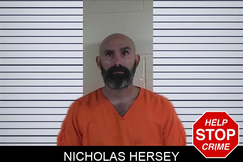 Nicholas Hersey mugshot – Fannin County , Georgia Nicholas Hersey mugshot