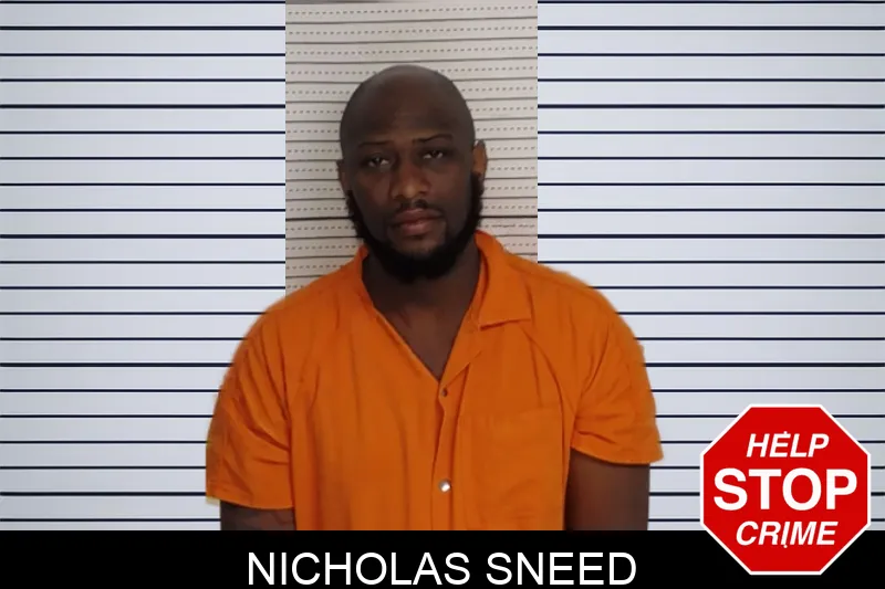 Nicholas Sneed mugshot – Rockdale County , Georgia Nicholas Sneed mugshot