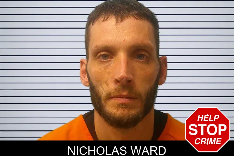 Nicholas Ward mugshot – Franklin County , Georgia Nicholas Ward mugshot