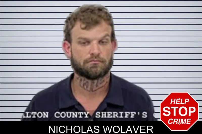 Nicholas Wolaver mugshot