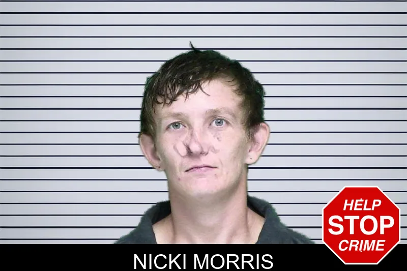 Nicki Morris mugshot – Appling County , Georgia Nicki Morris mugshot