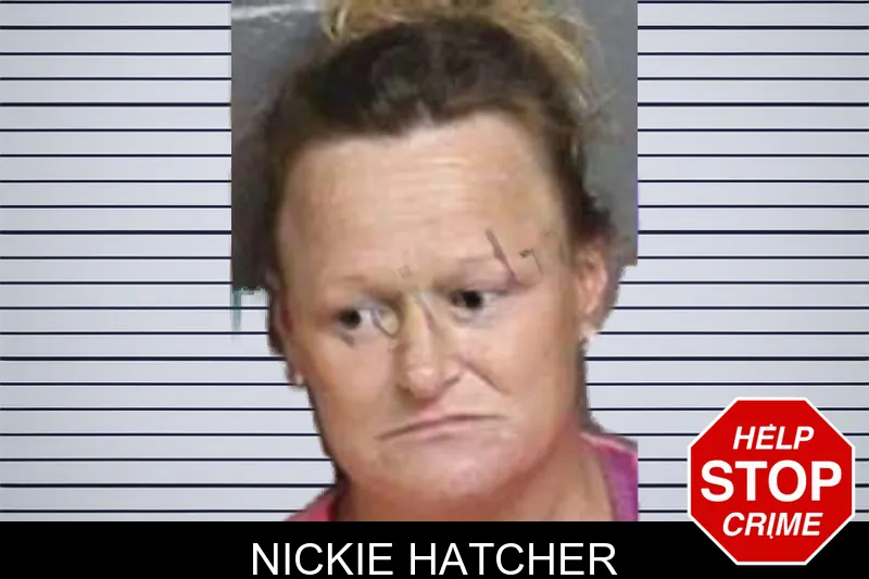 Nickie Hatcher mugshot – Bacon County , Georgia Nickie Hatcher mugshot