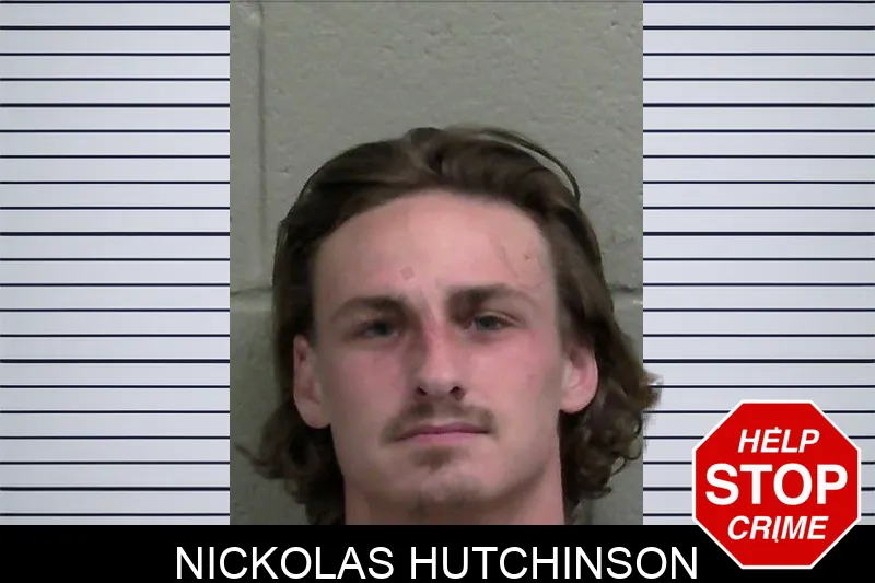 Nickolas Hutchinson mugshot – Wayne County , Georgia Nickolas Hutchinson mugshot