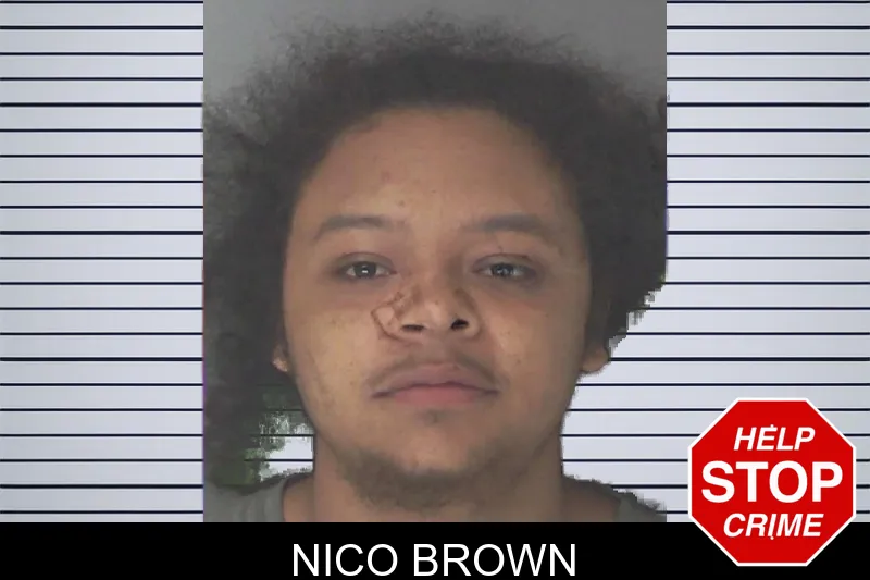 Nico Brown mugshot – Douglas County , Georgia Nico Brown mugshot
