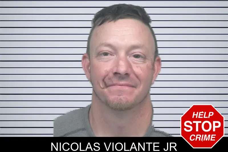 Nicolas Violante Jr mugshot – Gwinnett County , Georgia Nicolas Violante Jr mugshot