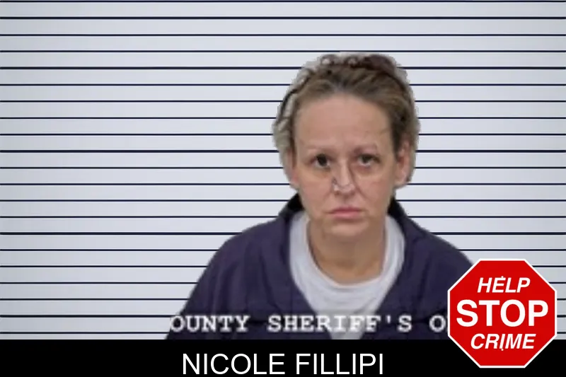 Nicole Fillipi mugshot – Walton County , Georgia Nicole Fillipi mugshot