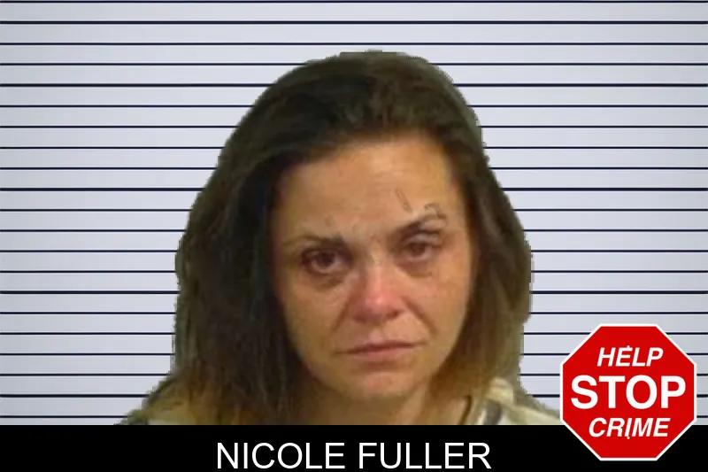 Nicole Fuller mugshot – Upson County , Georgia Nicole Fuller mugshot