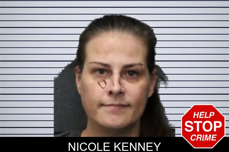 Nicole Kenney mugshot – Forsyth County , Georgia Nicole Kenney mugshot