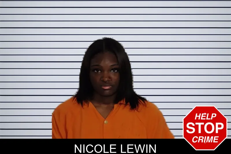 Nicole Lewin mugshot – Rockdale County , Georgia Nicole Lewin mugshot
