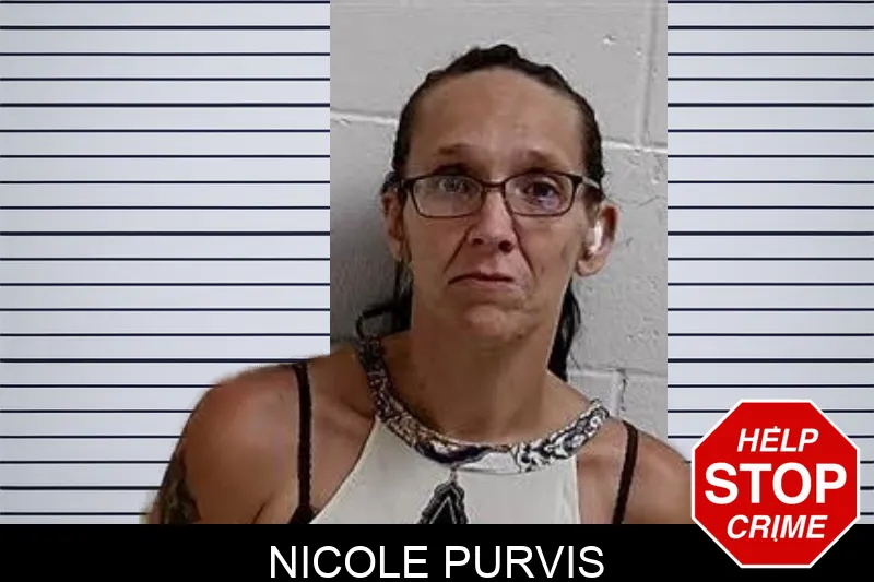 Nicole Purvis mugshot