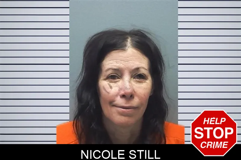 Nicole Still mugshot – Cherokee County , Georgia Nicole Still mugshot