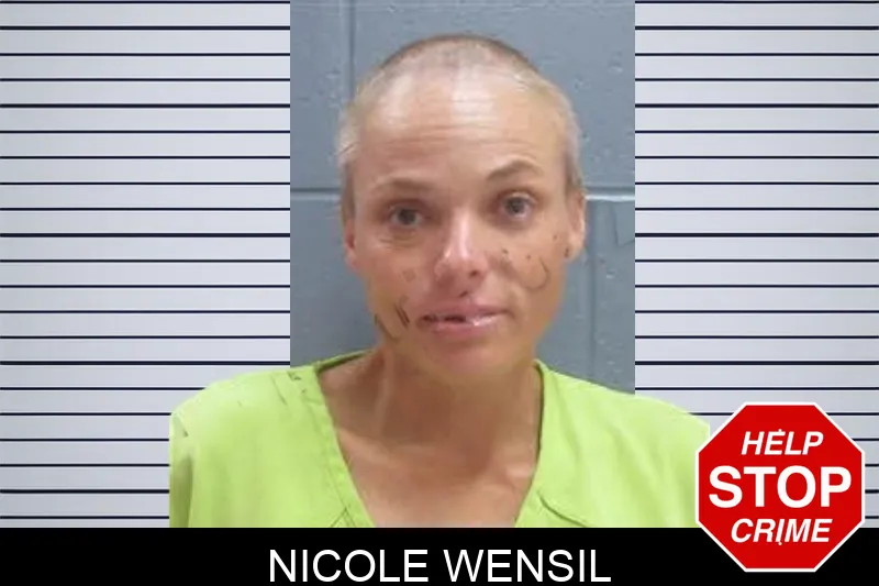 Nicole Wensil mugshot – Lee County , Georgia Nicole Wensil mugshot