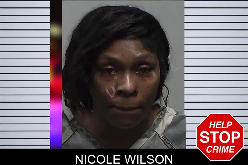 Nicole Wilson mugshot – Tift County , Georgia Nicole Wilson mugshot