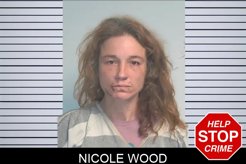 Nicole Wood mugshot