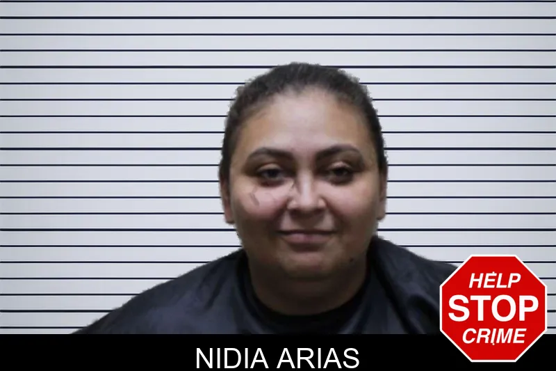 Nidia Arias mugshot – Haralson County , Georgia Nidia Arias mugshot