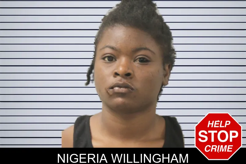 Nigeria Willingham mugshot – Toombs County , Georgia Nigeria Willingham mugshot
