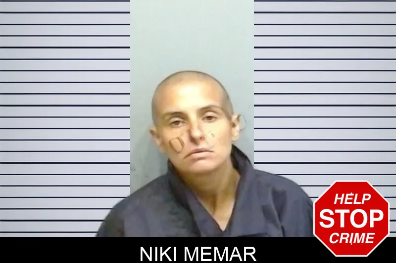 Niki Memar mugshot – Fulton County , Georgia Niki Memar mugshot