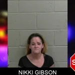 Nikki Gibson mugshot