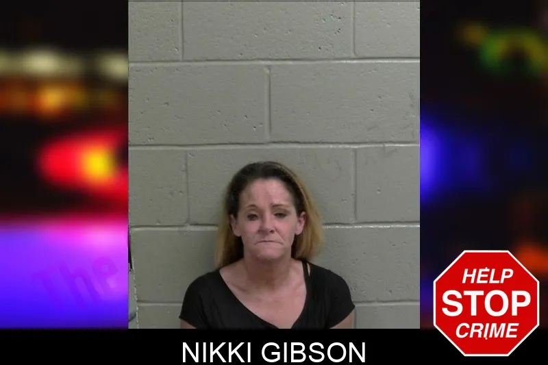 Nikki Gibson mugshot – Wayne County , Georgia Nikki Gibson mugshot