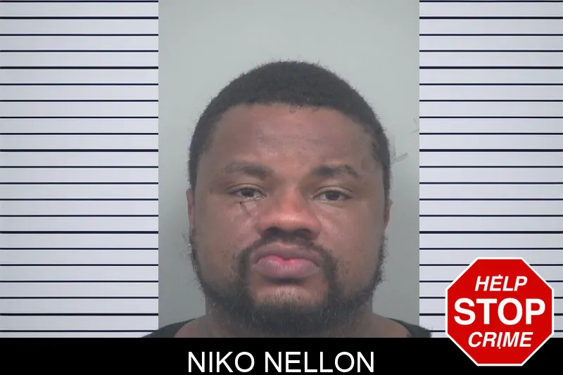 Niko Nellon mugshot – Gwinnett County , Georgia Niko Nellon mugshot