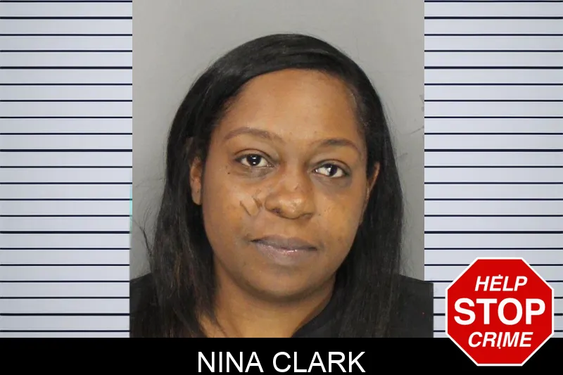 Nina Clark mugshot – Cobb County , Georgia Nina Clark mugshot