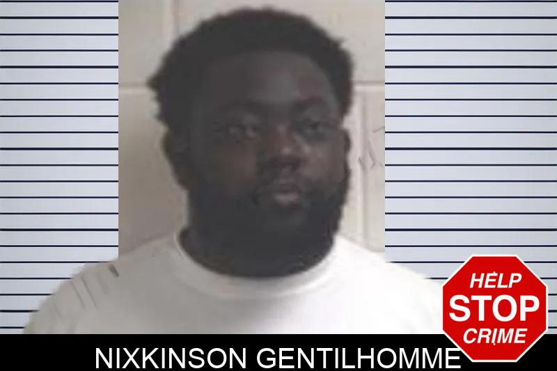 Nixkinson Gentilhomme mugshot – Henry County , Georgia Nixkinson Gentilhomme mugshot