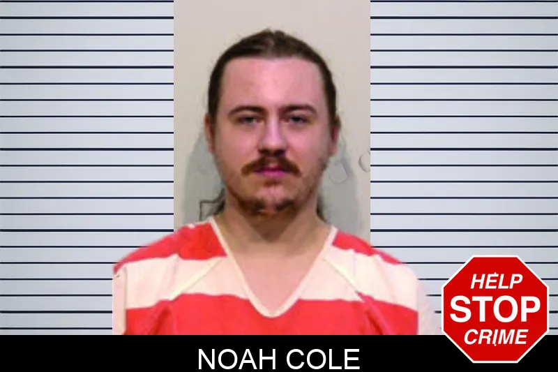 Noah Cole mugshot – Bartow County , Georgia Noah Cole mugshot