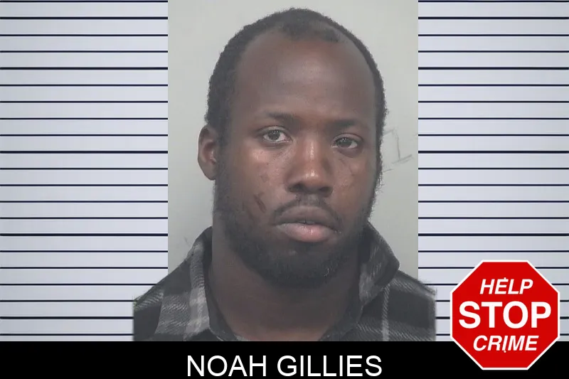 Noah Gillies mugshot – Gwinnett County , Georgia Noah Gillies mugshot