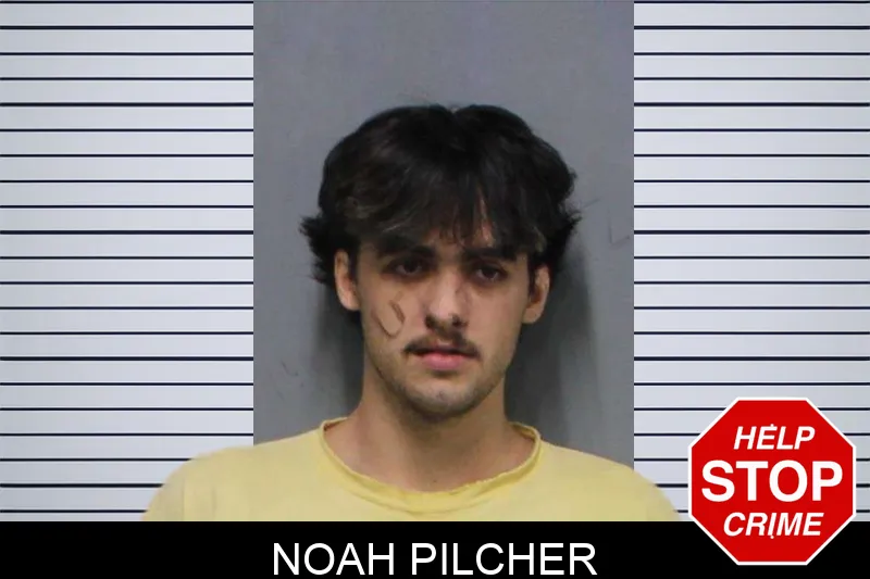 Noah Pilcher mugshot – White County , Georgia Noah Pilcher mugshot