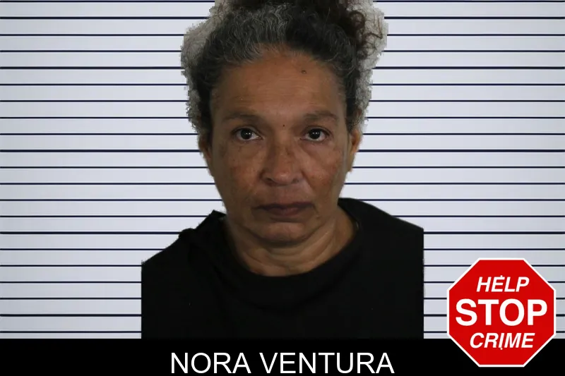 Nora Ventura mugshot