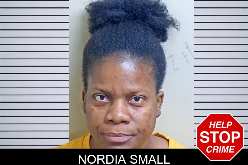 Nordia Small mugshot – Gwinnett County , Georgia Nordia Small mugshot