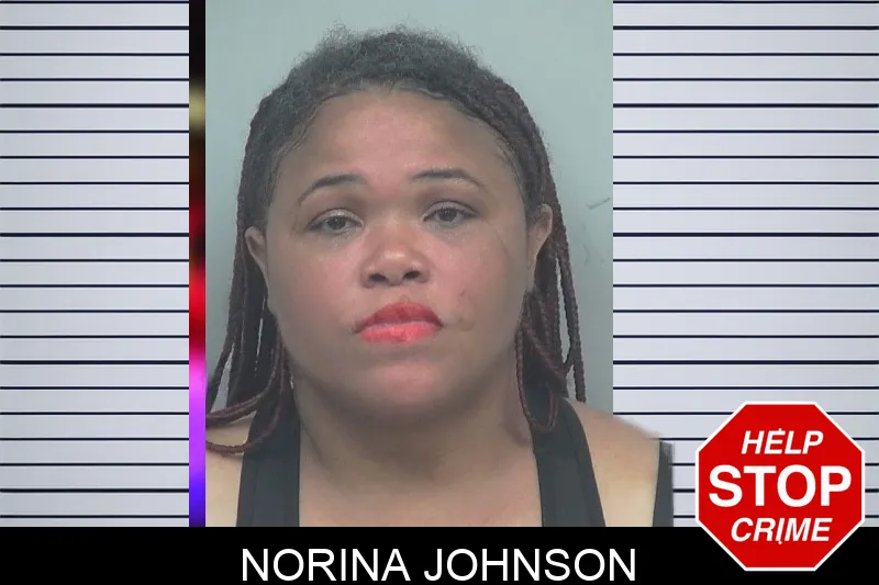 Norina Johnson mugshot – Gwinnett County , Georgia Norina Johnson mugshot