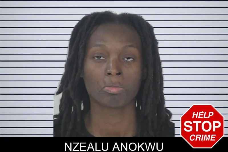 Nzealu Anokwu mugshot