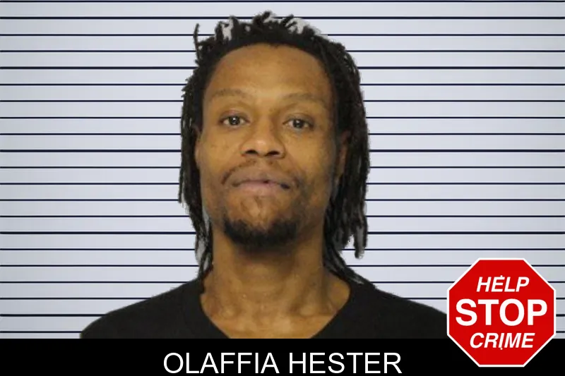 Olaffia Hester mugshot – Hall County , Georgia Olaffia Hester mugshot