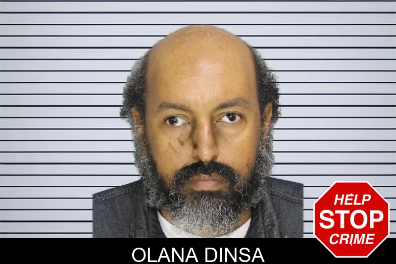 Olana Dinsa mugshot – Cobb County , Georgia Olana Dinsa mugshot